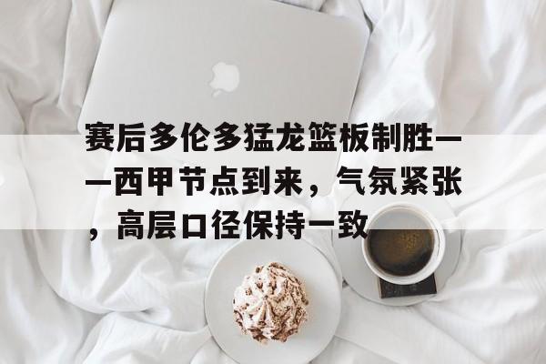 九游体育-猛龙总冠军阵容名单