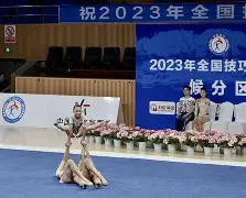 九游体育app-塞维利亚vs比利亚雷亚尔比赛分析